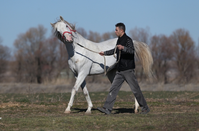 Pistlerin "Turbo"su yılda 2,7 milyon lira kazandıracak